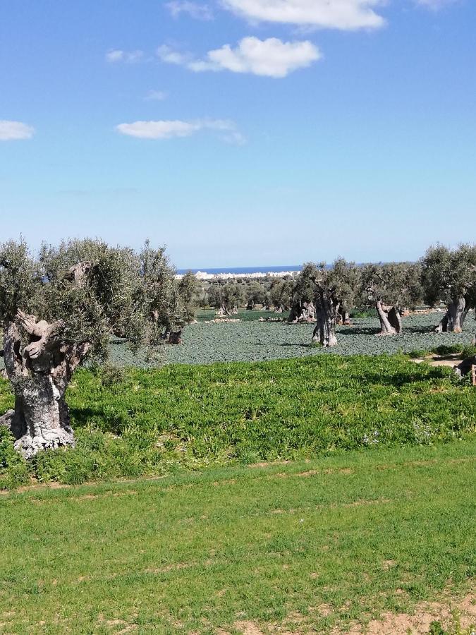 Masseria Ricci 파사노 외부 사진