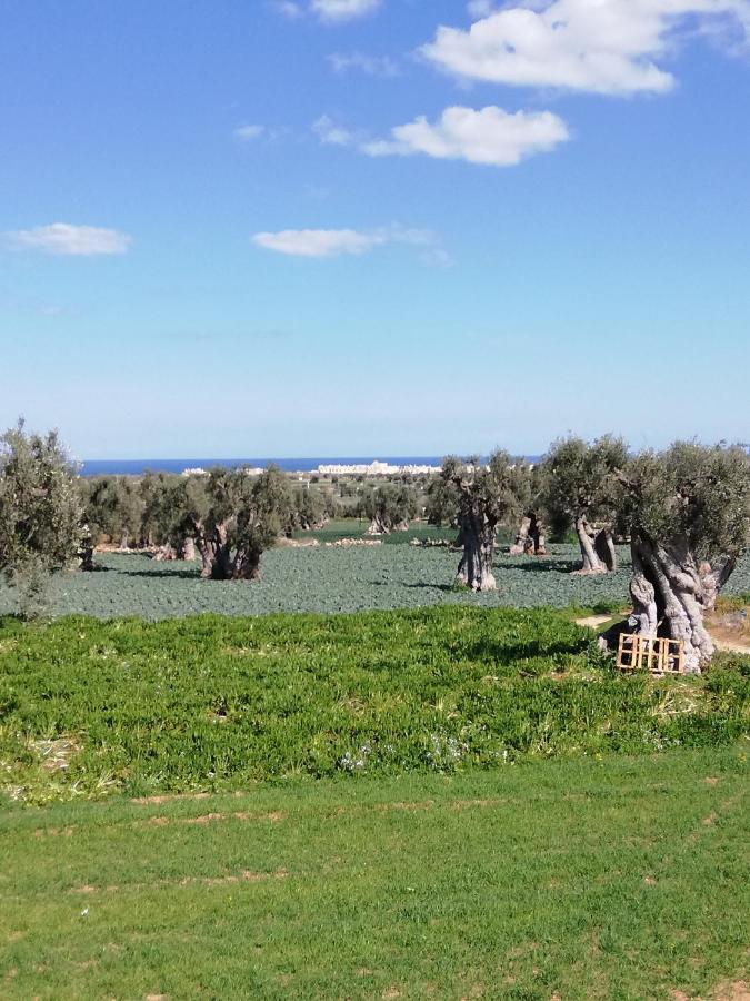 Masseria Ricci 파사노 외부 사진