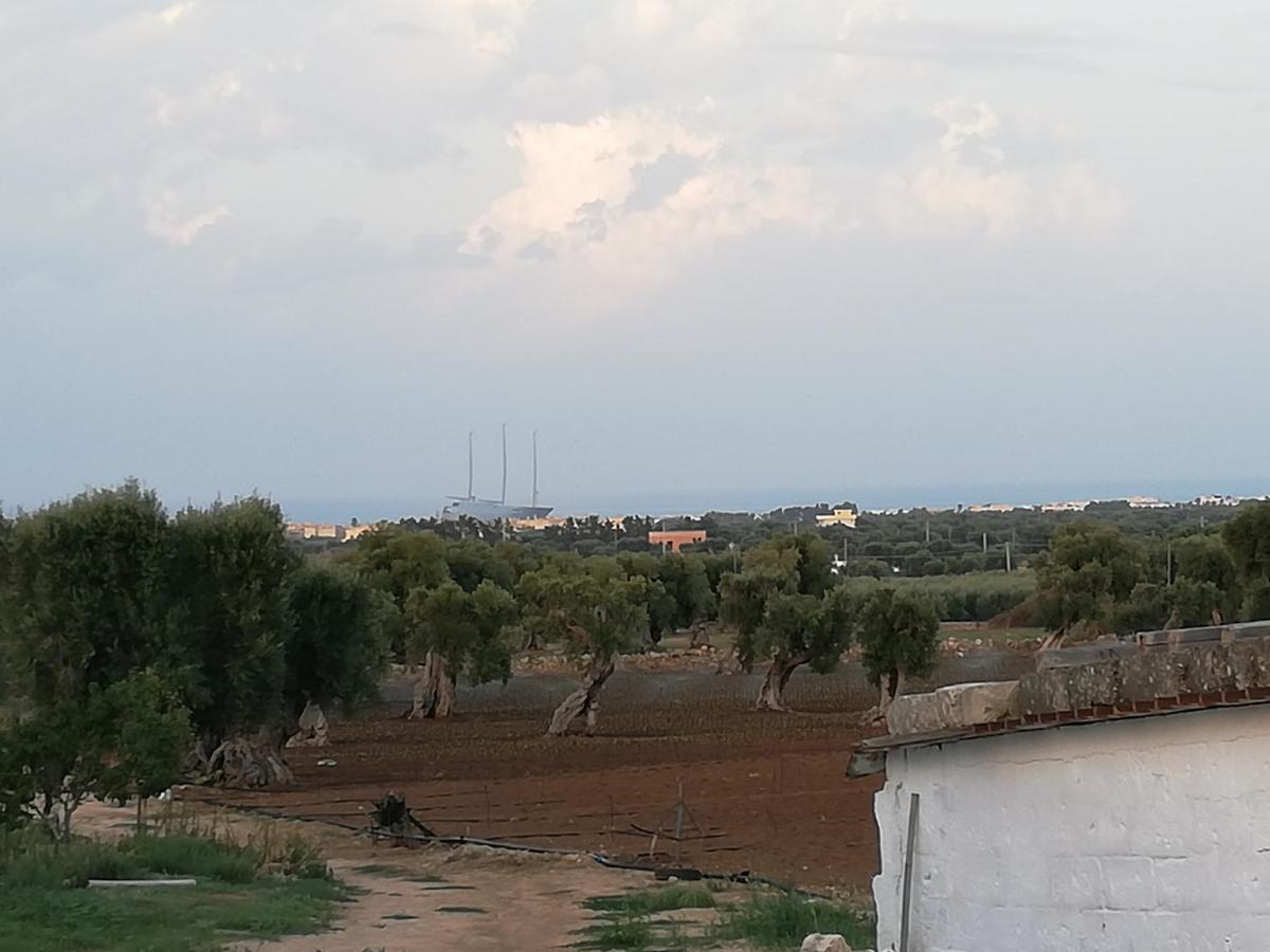 Masseria Ricci 파사노 외부 사진