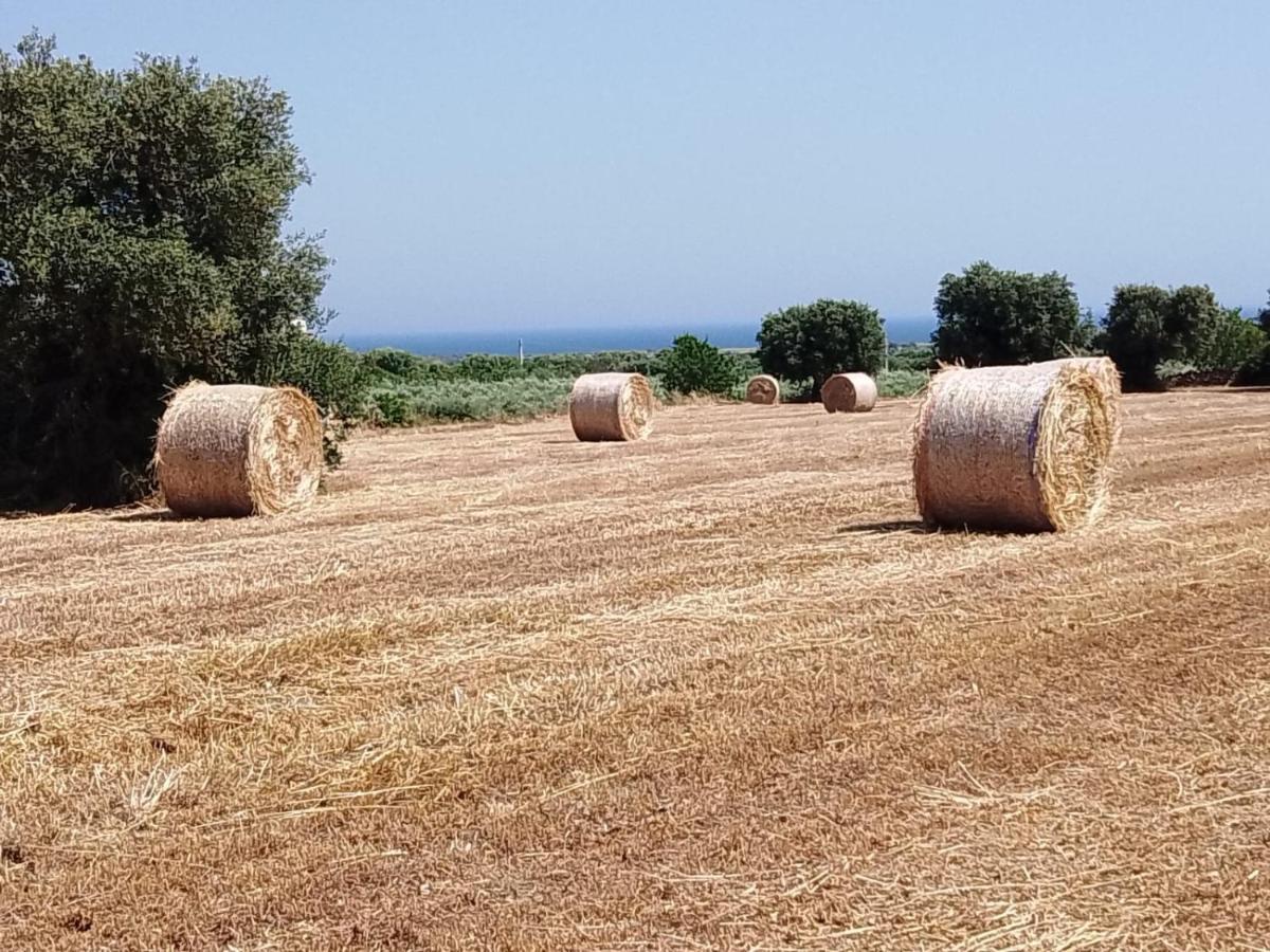 Masseria Ricci 파사노 외부 사진