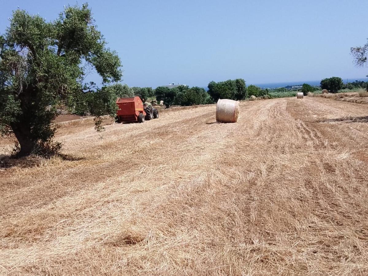 Masseria Ricci 파사노 외부 사진