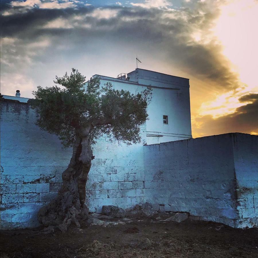 Masseria Ricci 파사노 외부 사진