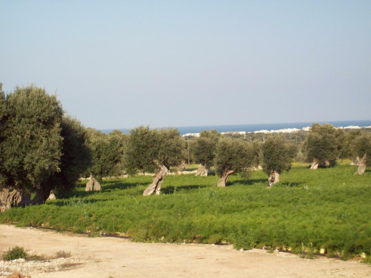 Masseria Ricci 파사노 외부 사진